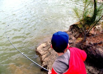 Catching a mighty Murray cod